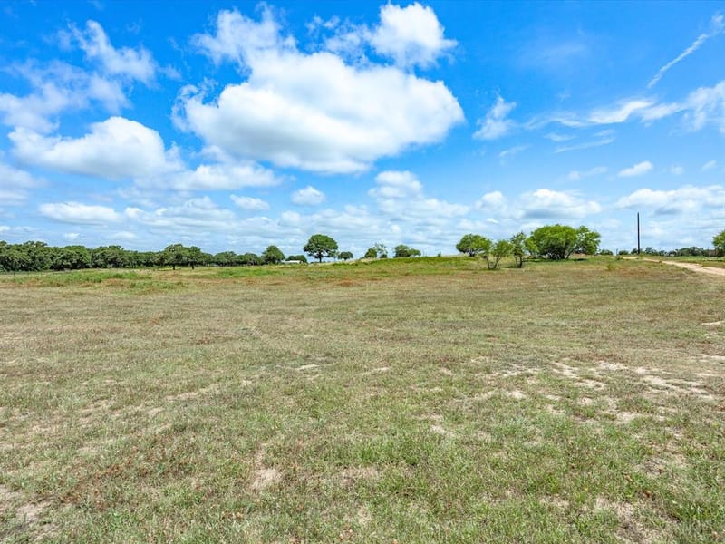 828 Wilson Road, Perrin TX 76486 - Photo 33