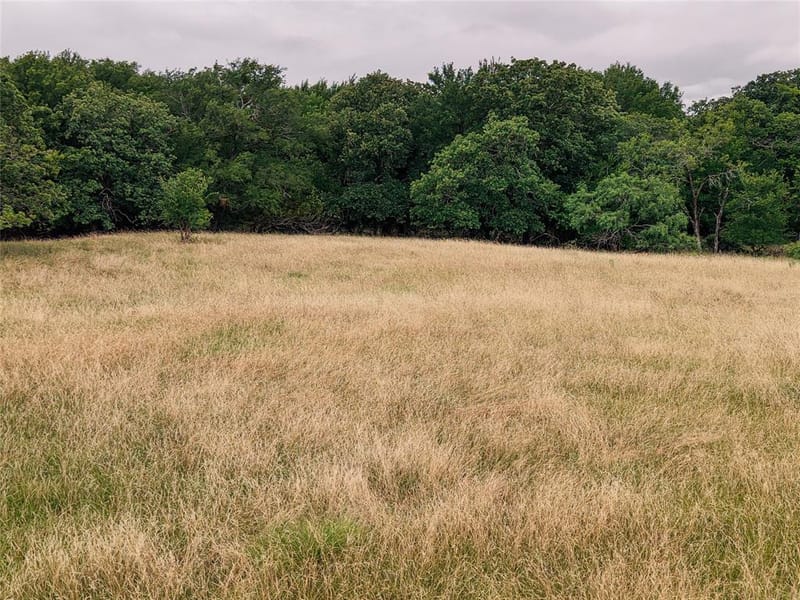 10405 Lipan Highway, Lipan TX 76462 - Photo 6