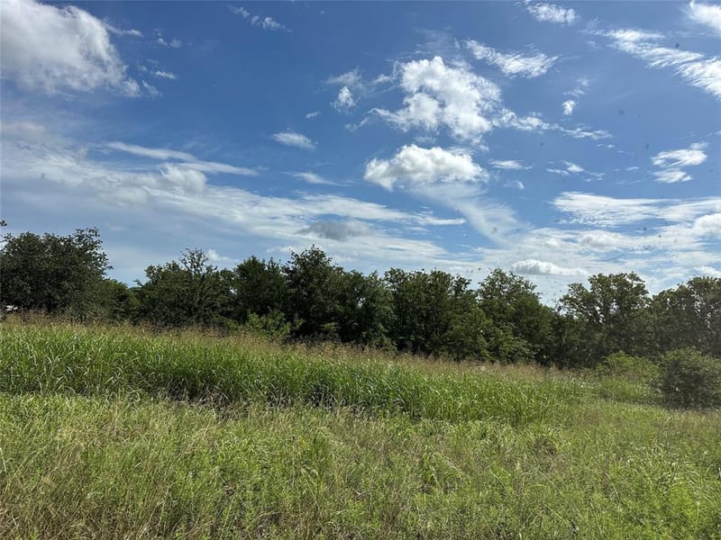 570 Big Salty Lane, Springtown TX 76082 - Photo 23
