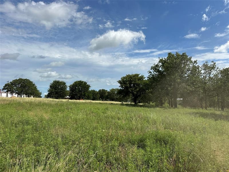 570 Big Salty Lane, Springtown TX 76082 - Photo 27