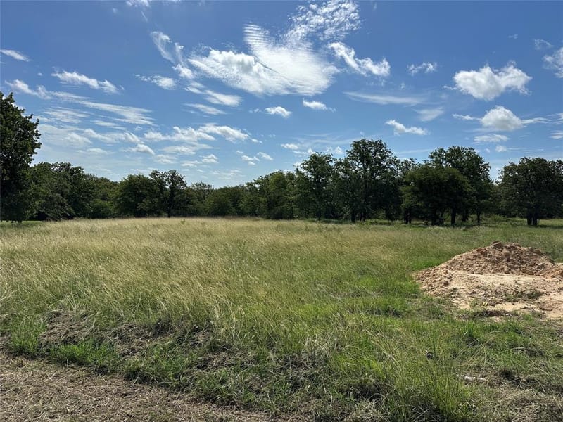 570 Big Salty Lane, Springtown TX 76082 - Photo 2