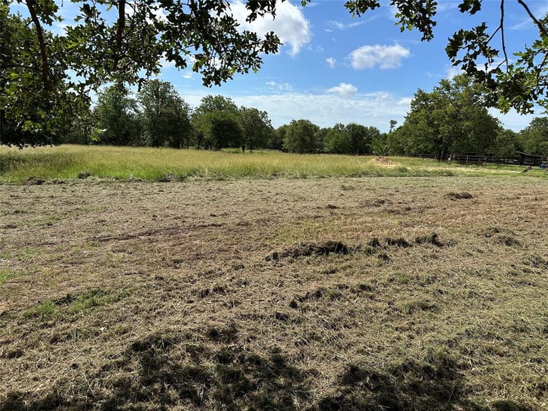 570 Big Salty Lane, Springtown TX 76082 - Photo 6