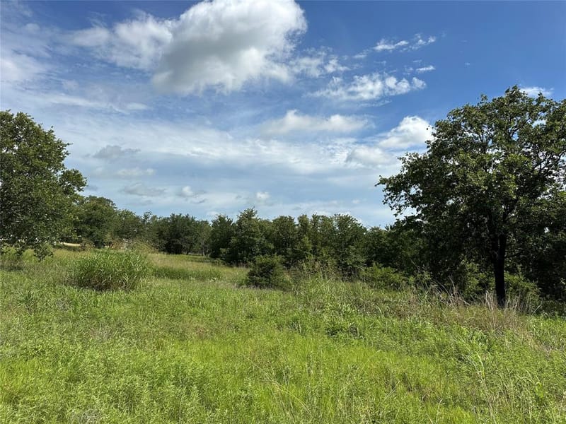 570 Big Salty Lane, Springtown TX 76082 - Photo 12