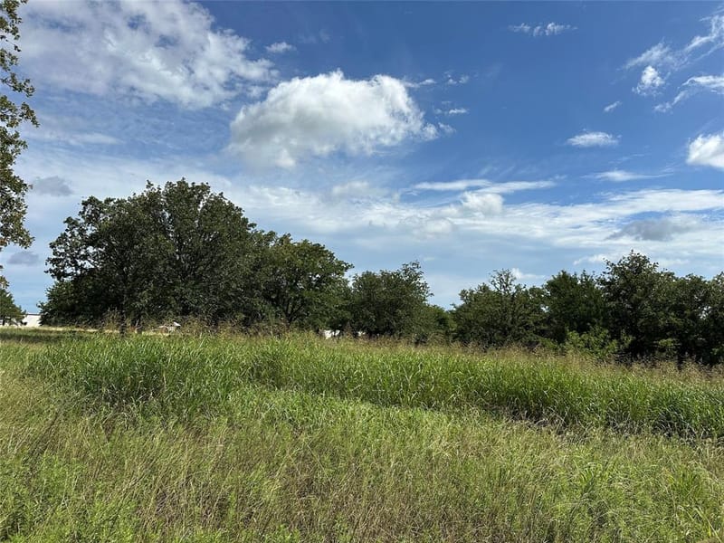 570 Big Salty Lane, Springtown TX 76082 - Photo 22
