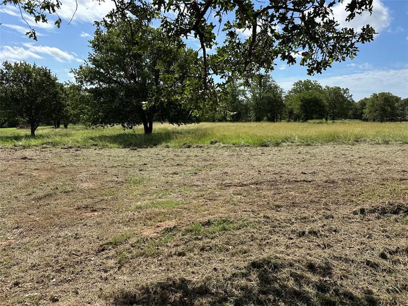 570 Big Salty Lane, Springtown TX 76082 - Photo 7