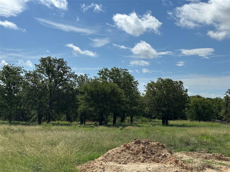 570 Big Salty Lane, Springtown TX 76082 - Photo 3