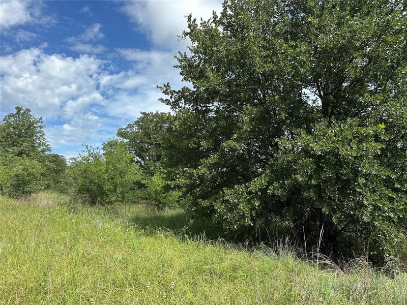 570 Big Salty Lane, Springtown TX 76082 - Photo 36