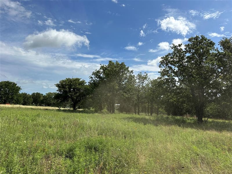 570 Big Salty Lane, Springtown TX 76082 - Photo 28