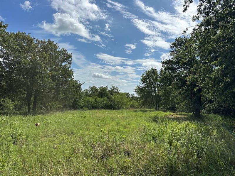 570 Big Salty Lane, Springtown TX 76082 - Photo 20
