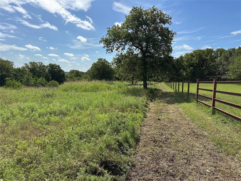 570 Big Salty Lane, Springtown TX 76082 - Photo 30