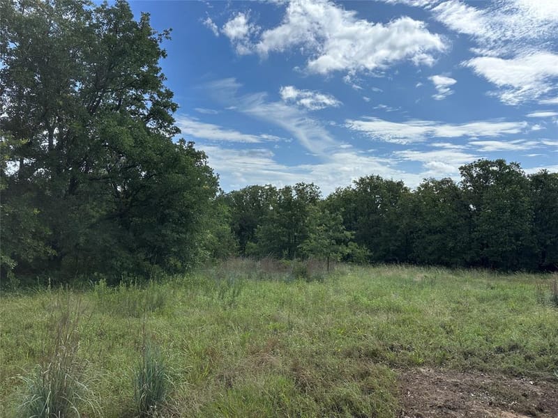 570 Big Salty Lane, Springtown TX 76082 - Photo 34