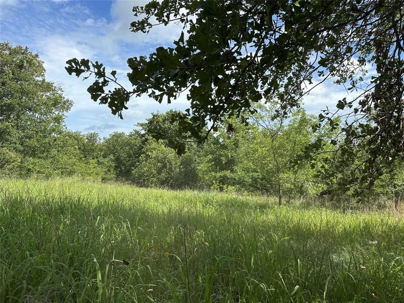 570 Big Salty Lane, Springtown TX 76082 - Photo 33