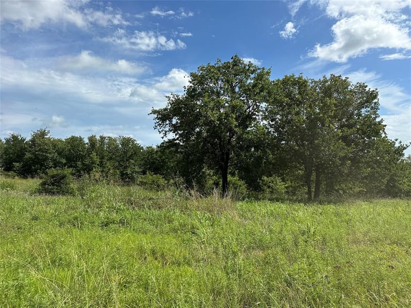 570 Big Salty Lane, Springtown TX 76082 - Photo 19