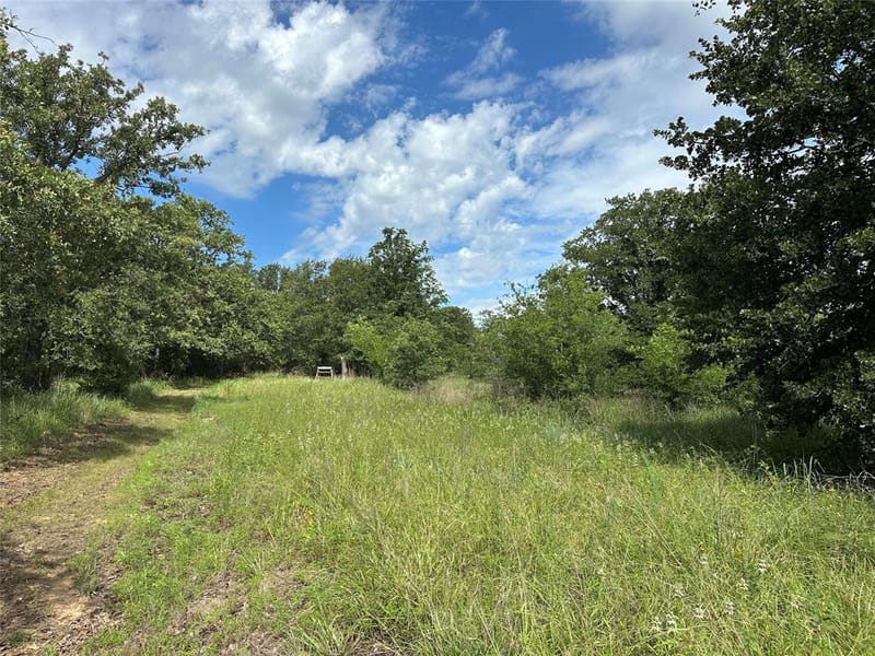 570 Big Salty Lane, Springtown TX 76082 - Photo 35