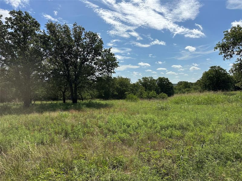 570 Big Salty Lane, Springtown TX 76082 - Photo 29