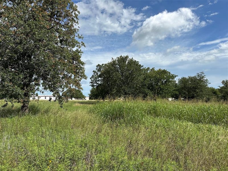 570 Big Salty Lane, Springtown TX 76082 - Photo 21