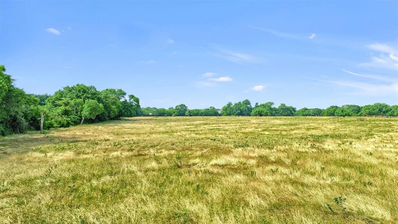1730 Mackey Road, Gunter TX 75459 - Photo 6