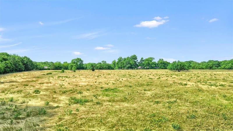 1730 Mackey Road, Gunter TX 75459 - Photo 7