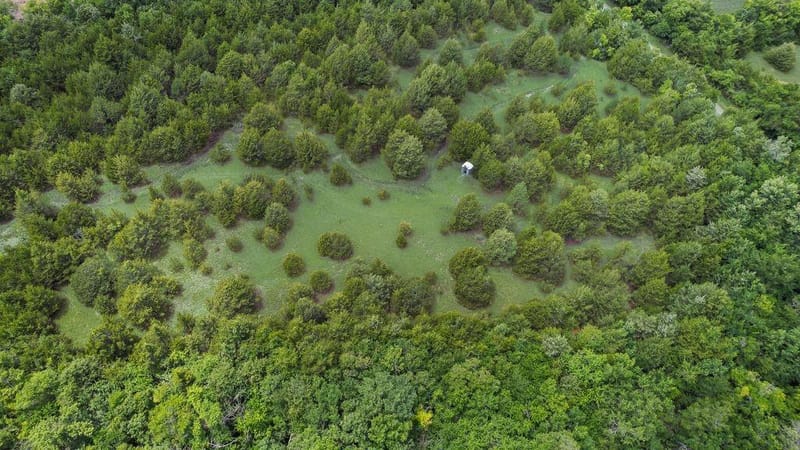 1070 County Road 3030, Bonham TX 75418 - Photo 35
