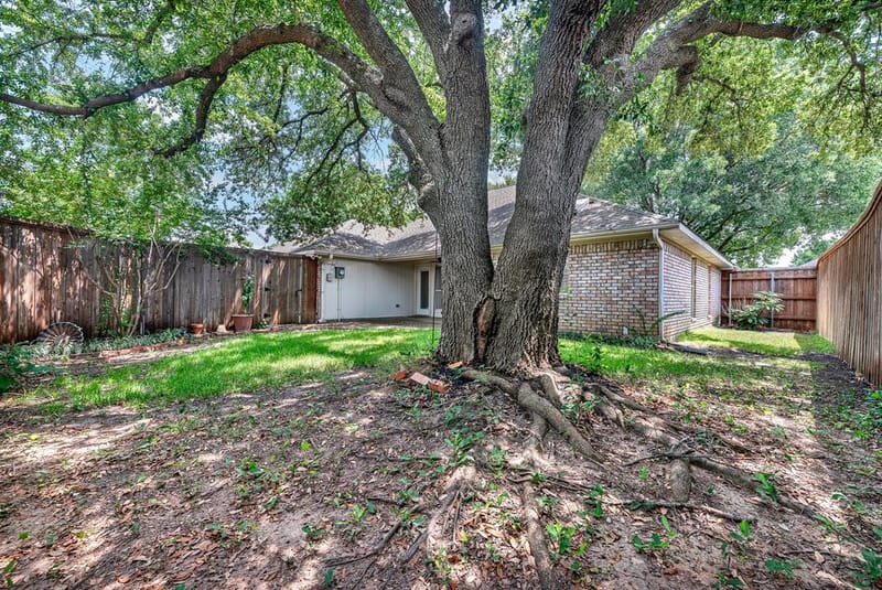 4445 Jenning Drive, Plano TX 75093 - Photo 25