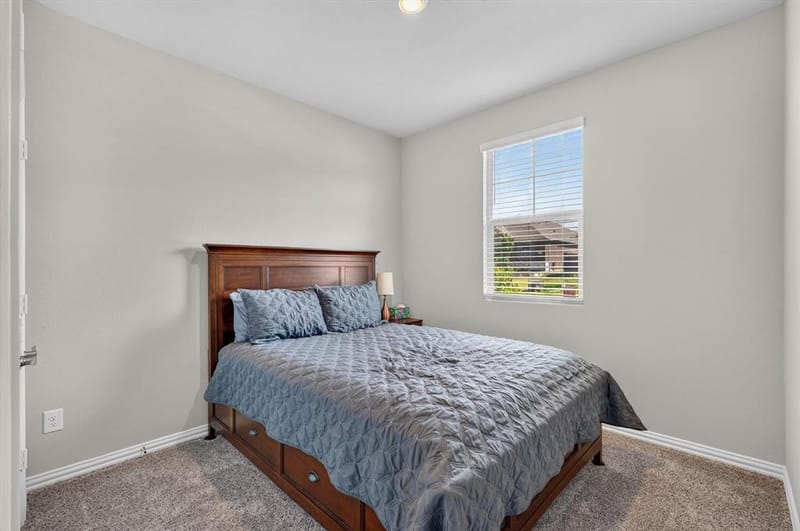 117 Olympus Street, Wylie TX 75098 - Photo 20