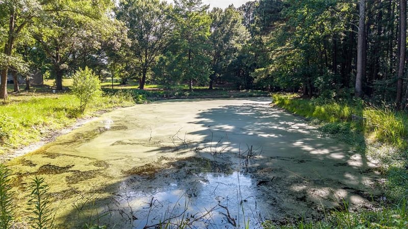 20388 County Road 150, Flint TX 75762 - Photo 37
