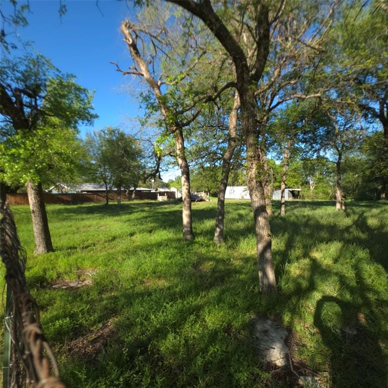 135 Elm Street, Palo Pinto TX 76484 - Photo 6