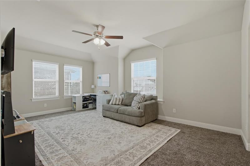 4317 Lakeview Drive, Frisco TX 75036 - Photo 30