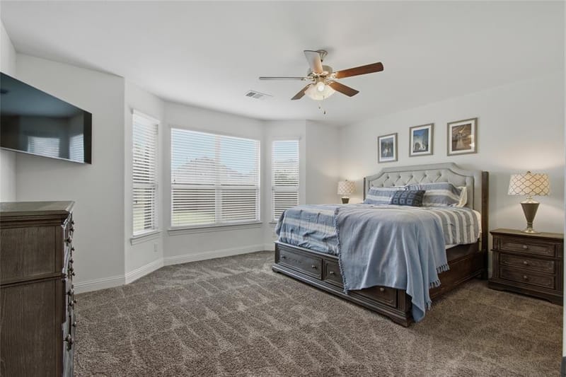 4317 Lakeview Drive, Frisco TX 75036 - Photo 19