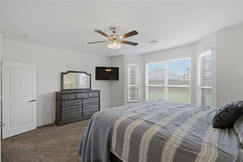 4317 Lakeview Drive, Frisco TX 75036 - Photo 21