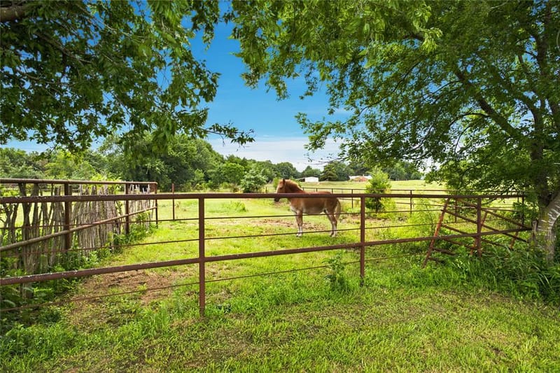 13017 E Fm 273, Telephone TX 75488 - Photo 31
