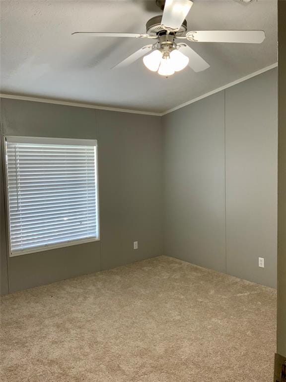 801 County Road 213, Venus TX 76084 - Photo 12