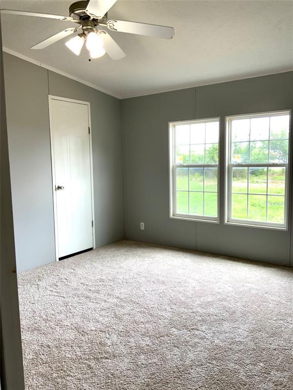801 County Road 213, Venus TX 76084 - Photo 10