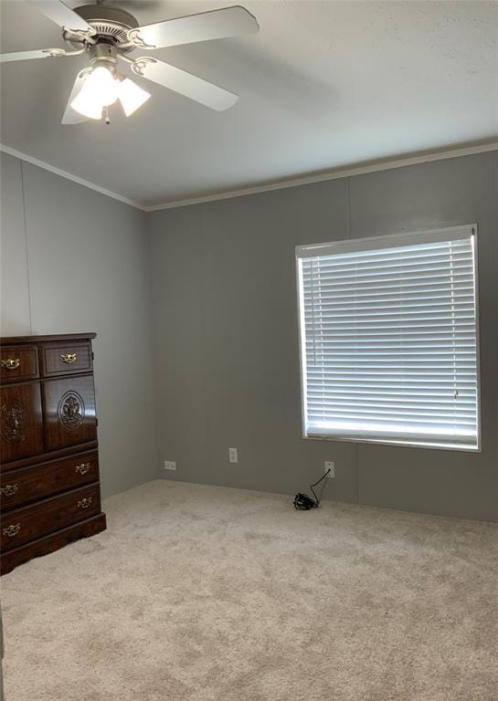 801 County Road 213, Venus TX 76084 - Photo 11