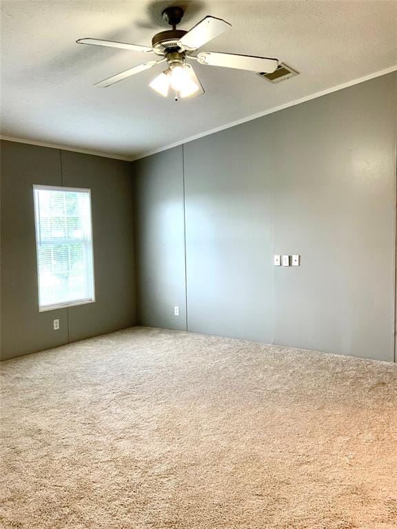801 County Road 213, Venus TX 76084 - Photo 8