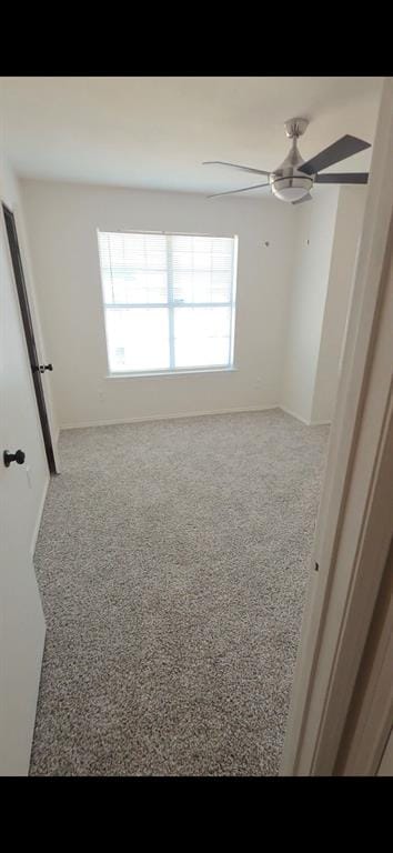 137 Graystone Place, Duncanville TX 75137 - Photo 12