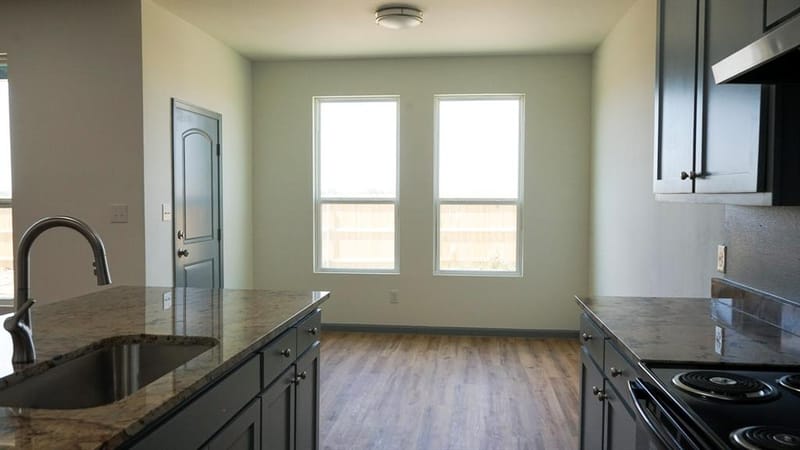 1009 Springview Lane, Mabank TX 75147 - Photo 6