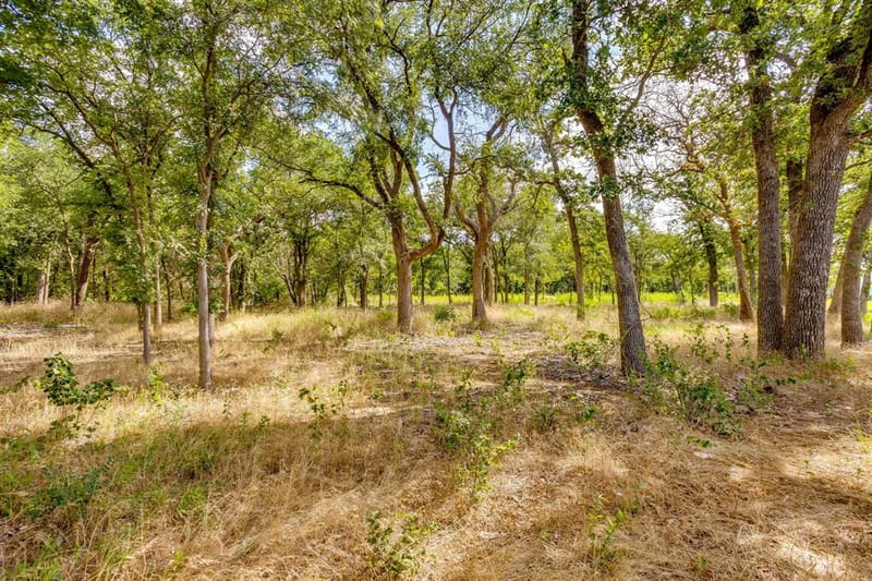 5600 Matlock Road, Granbury TX 76049 - Photo 40