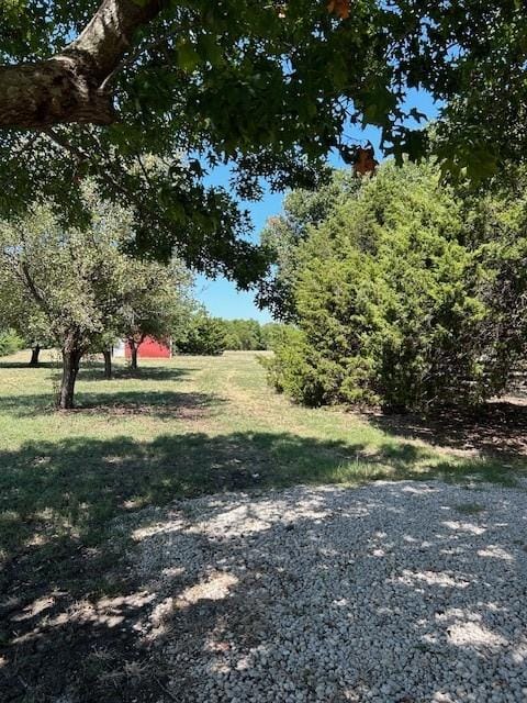 41 Man O War Lane, Fairview TX 75069 - Photo 9