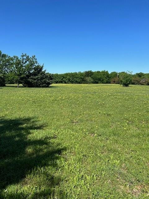 41 Man O War Lane, Fairview TX 75069 - Photo 8