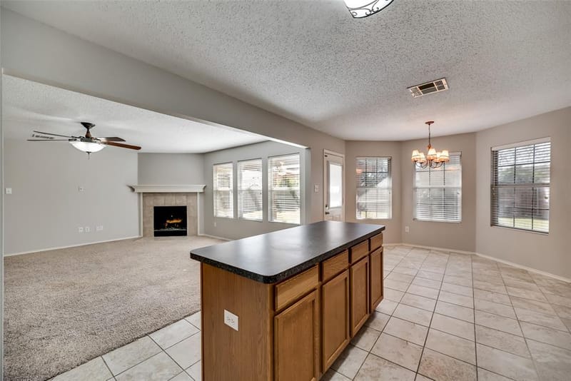 9913 George Bush Drive, McKinney TX 75072 - Photo 6