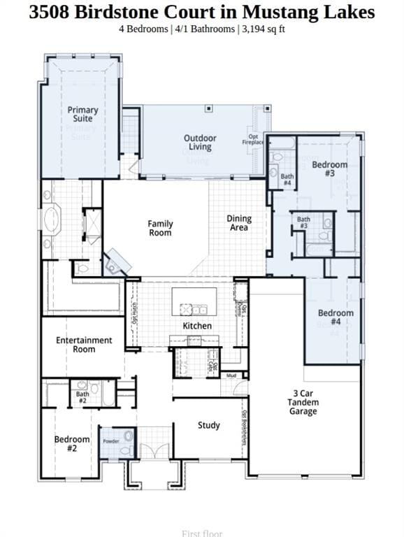 3508 Birdstone Court, Celina TX 75009 - Photo 2