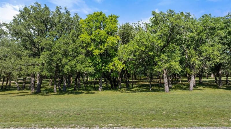15403 Mule Branch Court, Lipan TX 76462 - Photo 34