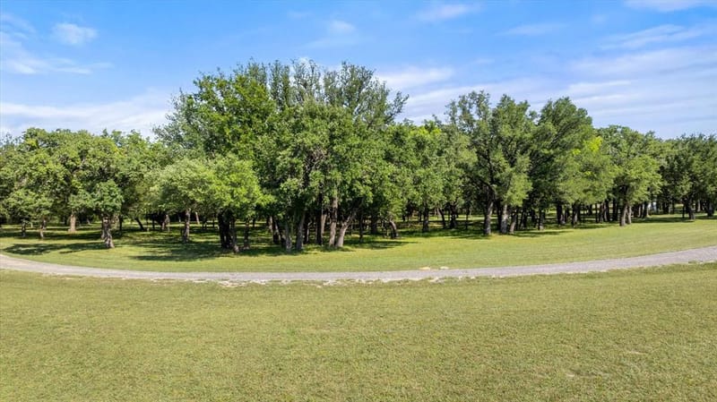 15403 Mule Branch Court, Lipan TX 76462 - Photo 37