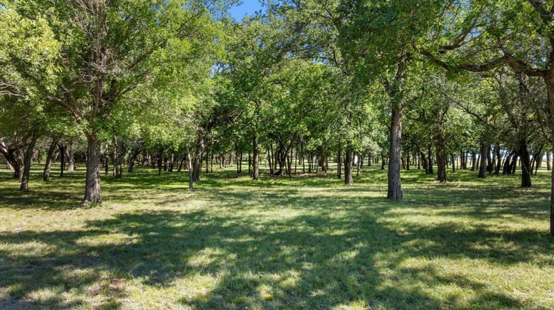 15403 Mule Branch Court, Lipan TX 76462 - Photo 39