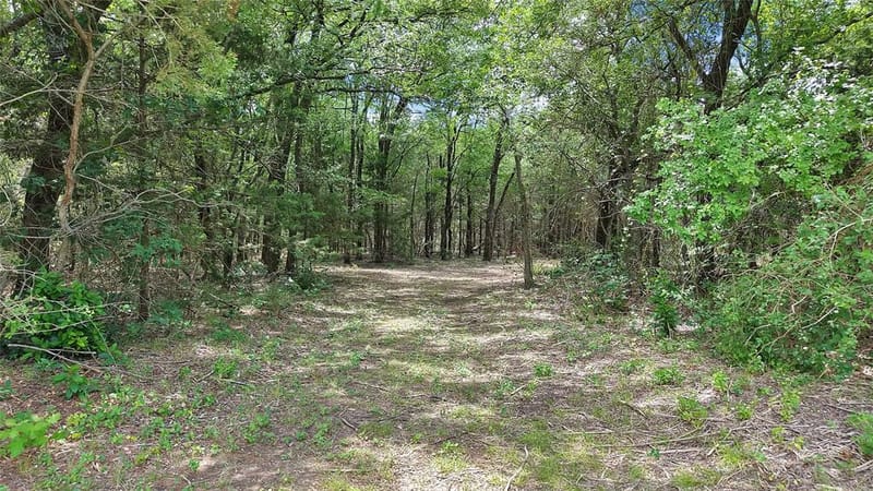 411 N Oak Branch Road, Waxahachie TX 75167 - Photo 14