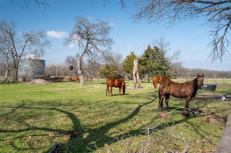 3998 County Road 2706, Caddo Mills TX 75135 - Photo 27