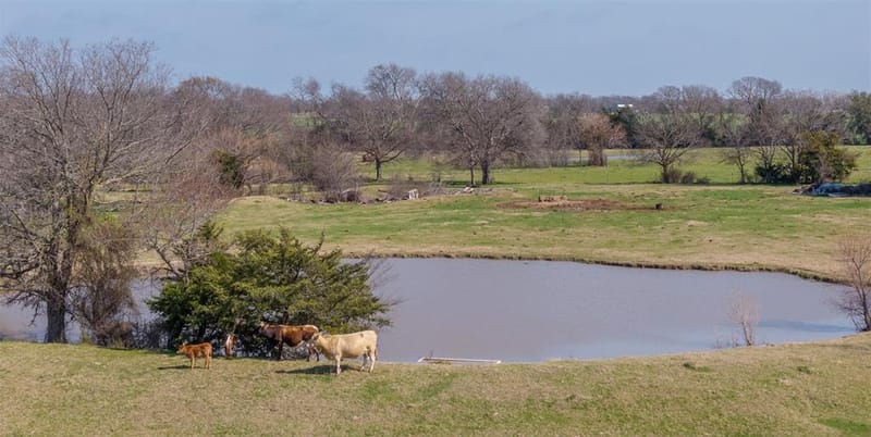 3998 County Road 2706, Caddo Mills TX 75135 - Photo 29