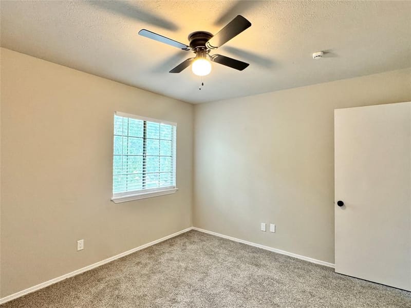 3913 Wrenwood Drive, Fort Worth TX 76137 - Photo 19