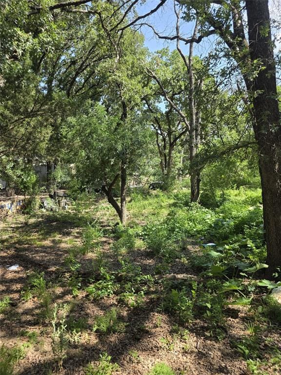3719 Private Road 3843 Road, Quinlan TX 75474 - Photo 16